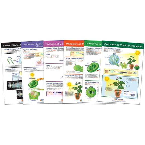 Photosynthesis & Respiration Bulletin Board Chart Set - Set of 6