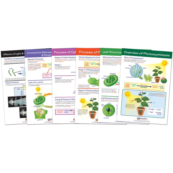 Photosynthesis & Respiration Bulletin Board Chart Set - Set of 6