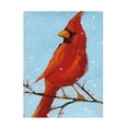 thumbnail image 1 of Phyllis Adams 'Cardinal II' Canvas Art, 1 of 3