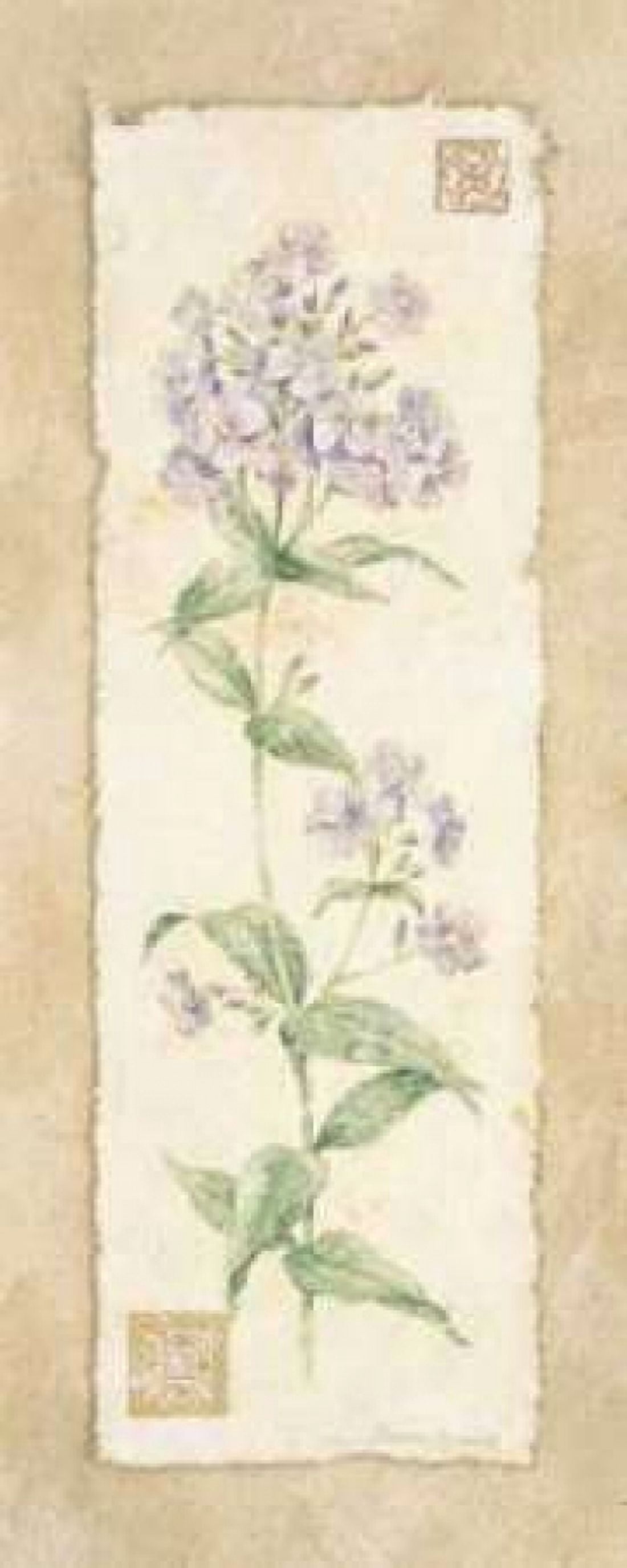 Phylox Canvas Art - Pamela Gladding (10 x 20)
