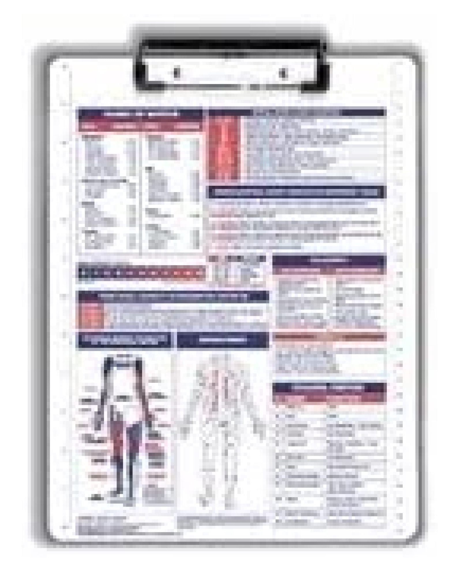Physical Therapy/Occupational Therapy/Anatomy Reference Clipboard with Wire Clip White Or Gray