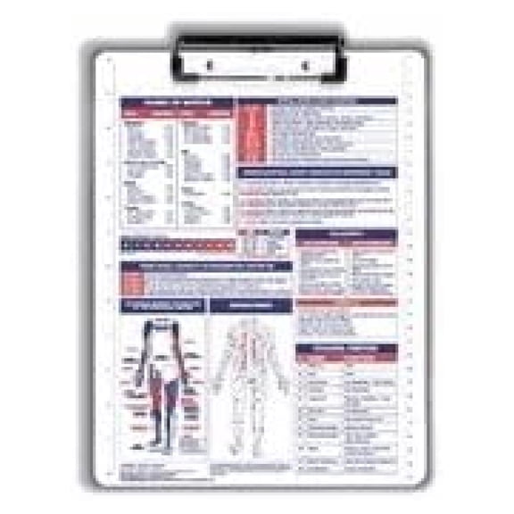 Physical Therapy/Occupational Therapy/Anatomy Reference Clipboard with Wire Clip White Or Gray