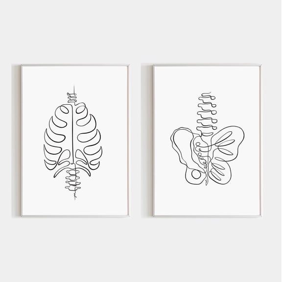 Physical Therapy Wall Art Spine Pelvic Floor Rib Cage Abstract Pelvis Line Art, Set 2, Poster Only