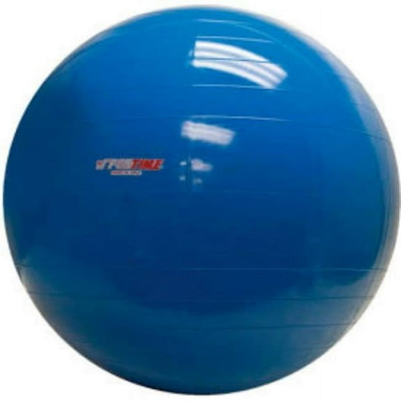 PhysioGymnic molded vinyl inflatable ball, 85 cm (34"), blue