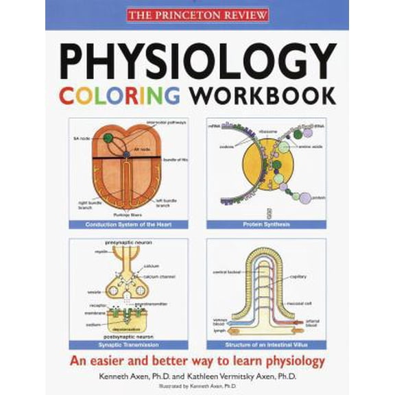 Pre-Owned Physiology Coloring Workbook 9780679778509 Used
