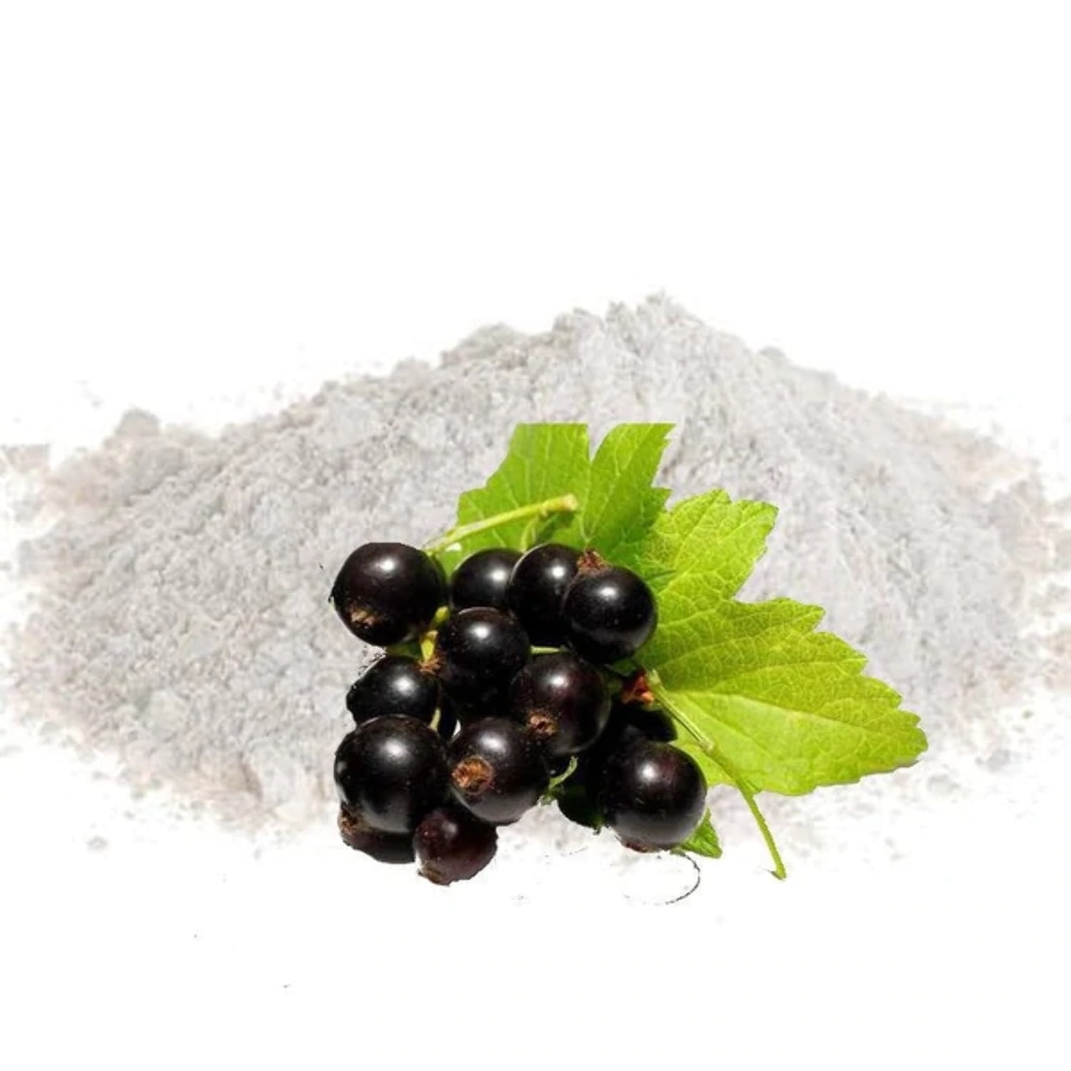PhytoCide Black Currant Powder Water Soluble Antimicrobial Anti