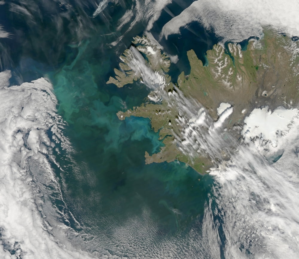 Phytoplankton bloom in the North Atlantic Ocean Canvas Art - Stocktrek Images (30 x 26)