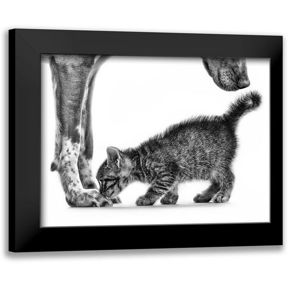 Pi, Monte 18x14 Black Modern Framed Museum Art Print Titled - Smell Me
