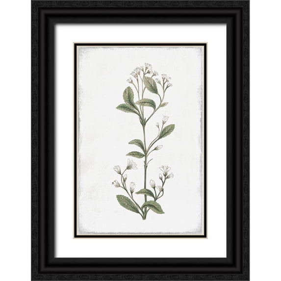 Pi Studio 11x14 Black Ornate Wood Framed with Double Matting Museum Art Print Titled - Little Flower II