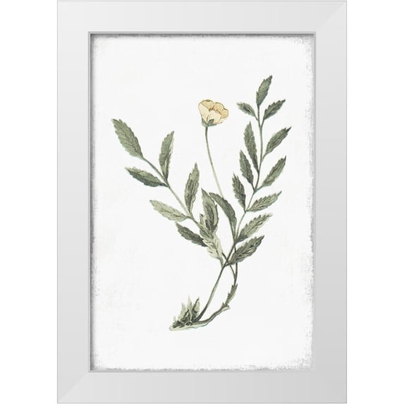 Pi Studio 17x24 White Modern Wood Framed Museum Art Print Titled - Little Flower III
