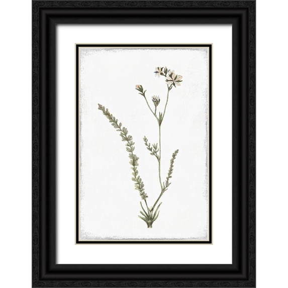 Pi Studio 23x32 Black Ornate Wood Framed with Double Matting Museum Art Print Titled - Little Flower I
