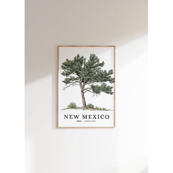 Piñon Pine Tree : New Mexico State Symbol, Botanical Art Unframed Paper Print