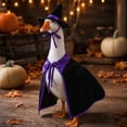 thumbnail image 1 of PiGOGI Halloween themed 23 Inch Goose Porch Clothing Set Holiday Decoration for Garden Patio Terrace Lawn Outdoor Decor (Goose Not Included), 1 of 6