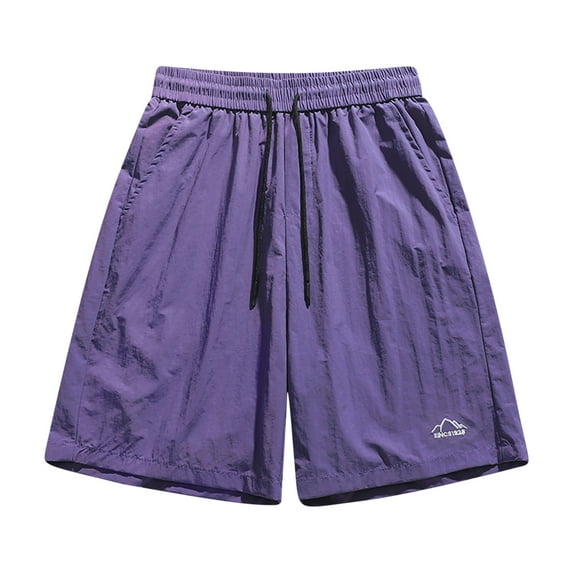 PiGOGI Men's Summer Ice Silk Shorts, Solid Color Nylon Casual Sports Five Quarter Pants for Outdoor Purple XL