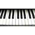 thumbnail image 1 of Piano Keyboard License Plates Tags, 1 of 1