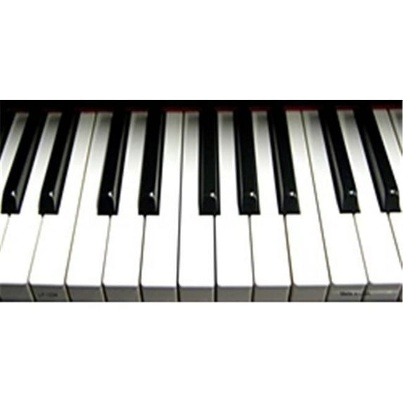 Piano Keyboard License Plates Tags