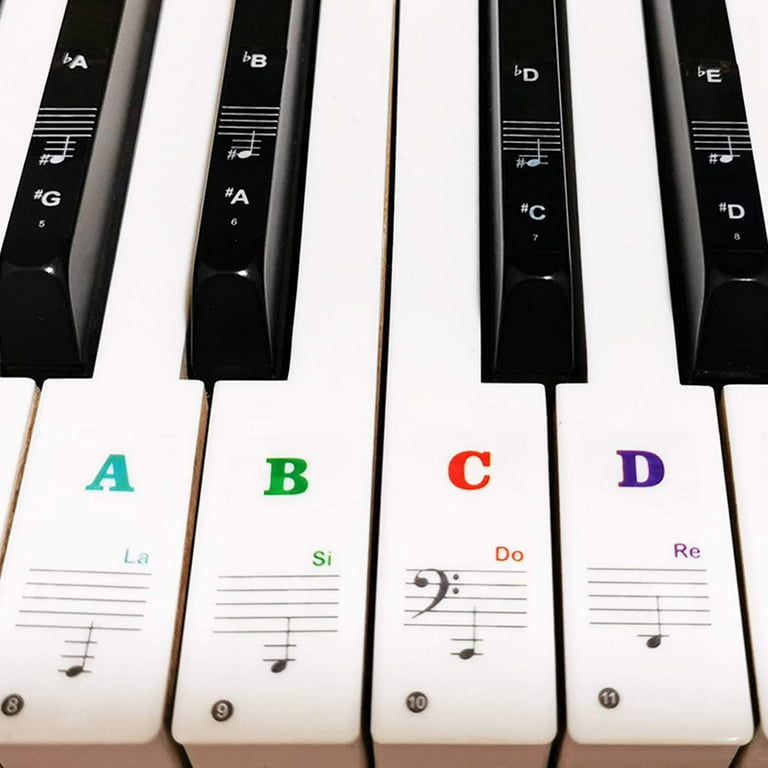 Piano Notes and Keys – How to Label Piano Keys
