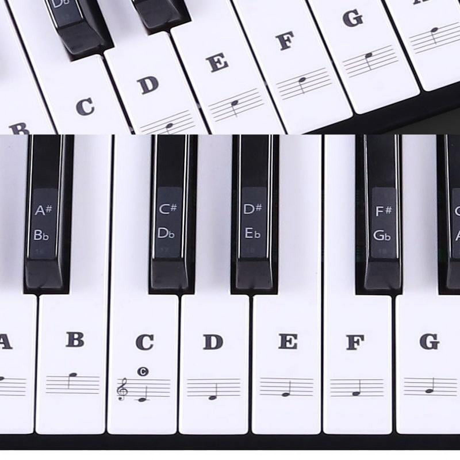 Adhésif Autocollants Note Clavier Piano Keyboard Stickers 37 49 61 88