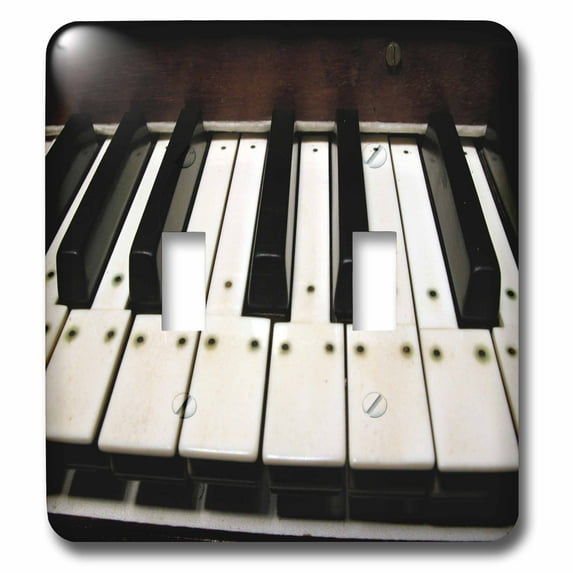 3dRose, Piano Keys, double toggle switch