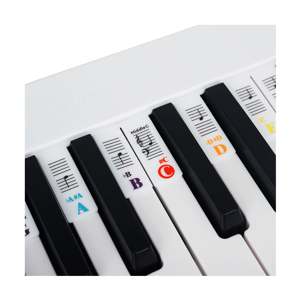 Piano Note Sticker Button Strip Silicone Color Universal Detachable Keyboard Sticker (PVC Box