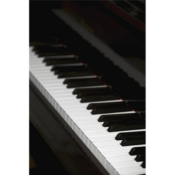Piano Poster Print