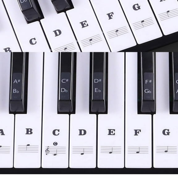 Piano Stickers for 37/49/54/61/88 Key Keyboards - Tranparent Removable Labels for Kids Beginner Learning Music Note Suitable all Brands
