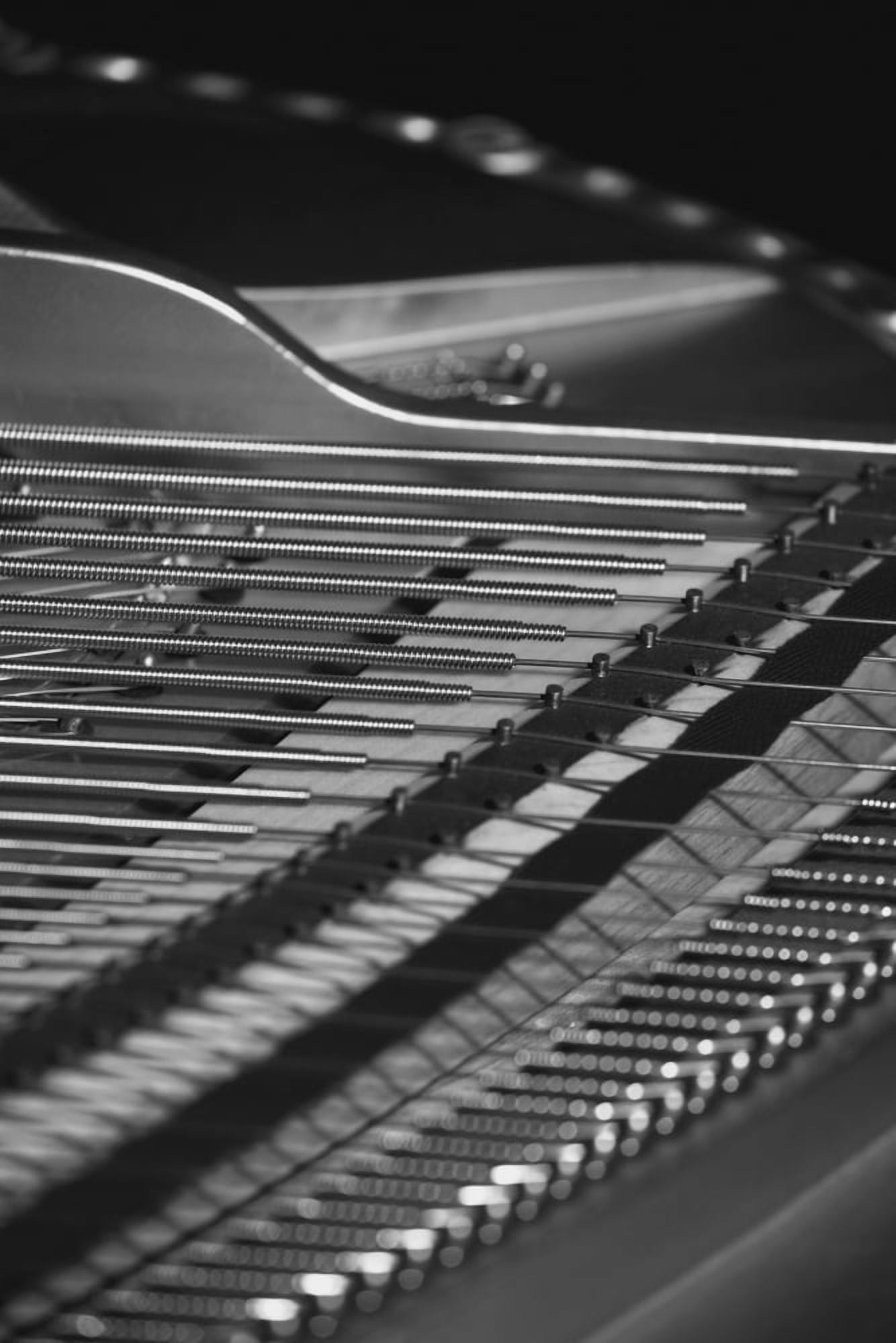 Piano strings Waterloo Quebec Canada Canvas Art - David Chapman Design Pics (24 x 38)