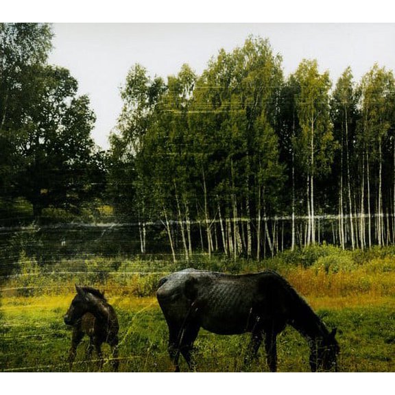 Pianos Become the Teeth - Old Pride - Rock - CD