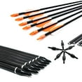 Piaoyu 31.5in Fiberglass Arrows Can Be Used for Various Bows Hunting