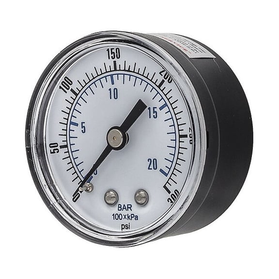 Pic Gauges Pressure Gauge,General Purpose,2" Dial SEP-102D-204H-BSPT