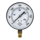 Pic Gauges Sep-101D-354P Industrial Pressure Gauge, 0 To 3,000 Psi, 3 1/2 In