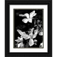 thumbnail image 1 of Pica, Jeff 12x14 Black Ornate Wood Framed with Double Matting Museum Art Print Titled - Floral Portrait VI, 1 of 4