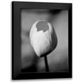 thumbnail image 1 of Pica, Jeff 15x18 Black Modern Framed Museum Art Print Titled - Floral Portrait I, 1 of 5