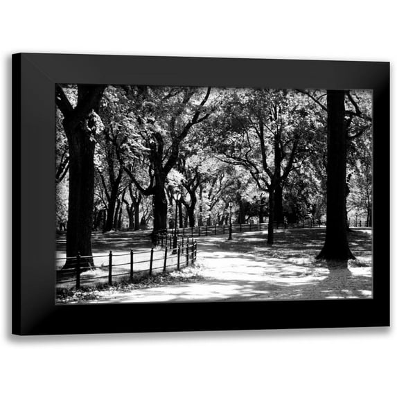 Pica, Jeff 18x15 Black Modern Framed Museum Art Print Titled - Central Park Walk