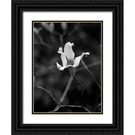 Pica, Jeff 19x24 Black Ornate Wood Framed with Double Matting Museum Art Print Titled - Floral Portrait V