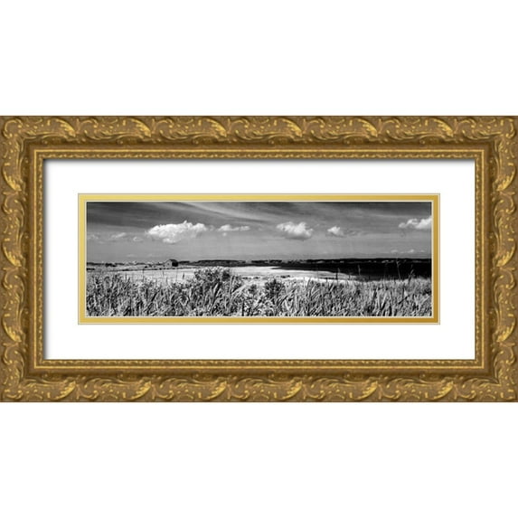 Pica, Jeff 32x13 Gold Ornate Wood Framed with Double Matting Museum Art Print Titled - Shore Panorama III