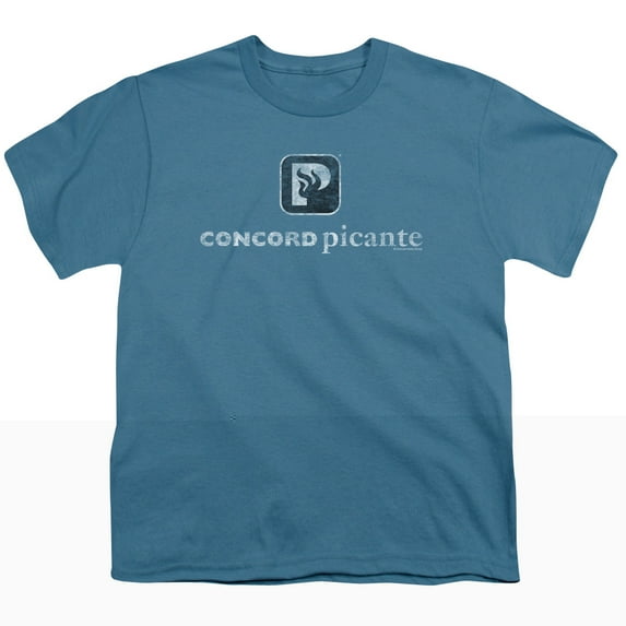 Picante Picante Vintage Youth T-Shirt Slate