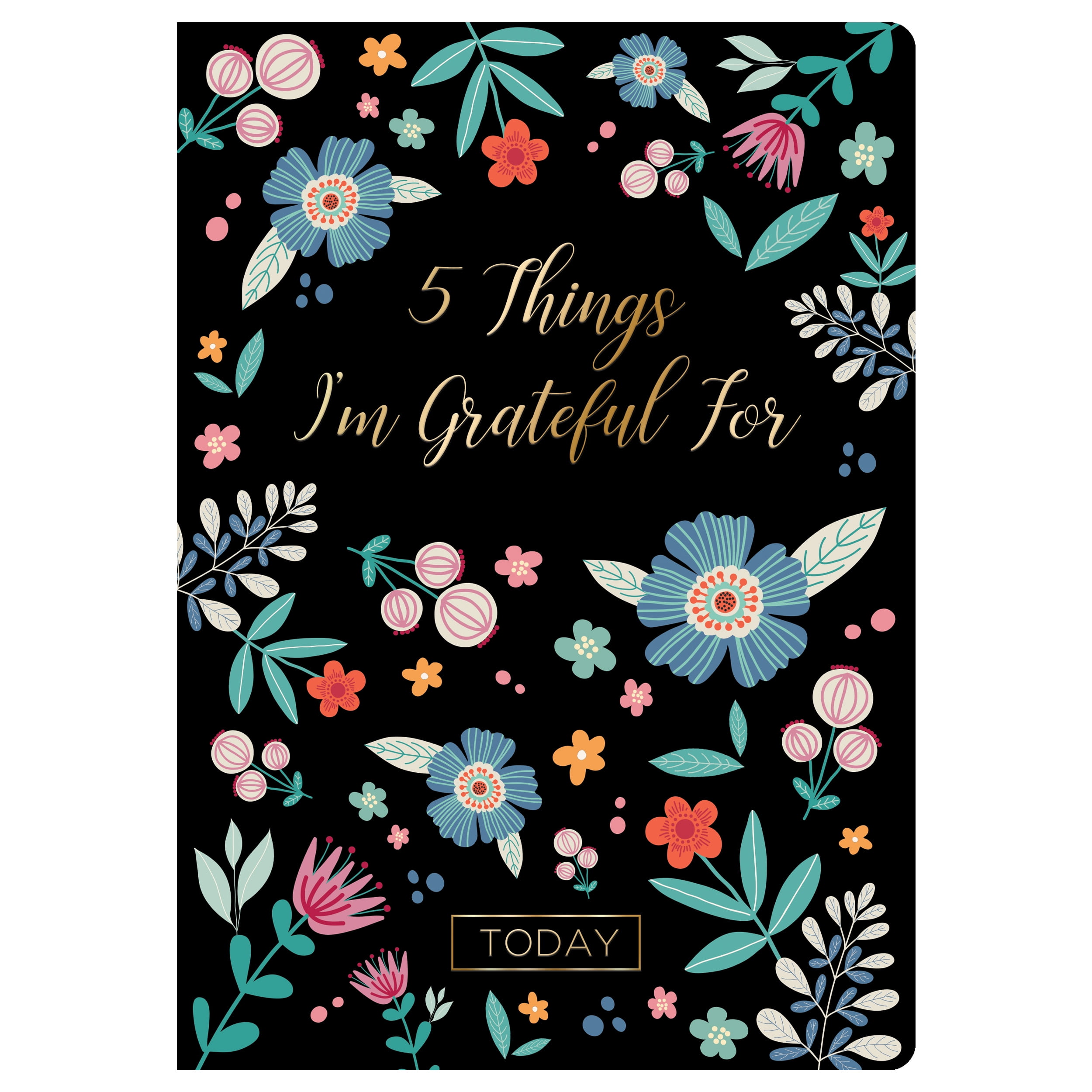 Piccadilly 5 Things I'm Grateful for Today, Journal, 6 x 8.5", Paper, 204 Pages, Multicolor