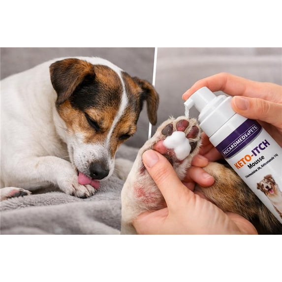 Piccardmeds4pets Keto-Itch Plus Antiseptic Mousse for Cats & Dogs 7 oz.