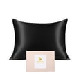 thumbnail image 1 of PiccoCasa 1 Pack 19mm Silk Pillowcase for Hair and Skin with Zipper Standard Black, 1 of 8