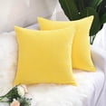PiccoCasa 2 Piece Throw Pillowcases Corn Striped Cushion Covers for