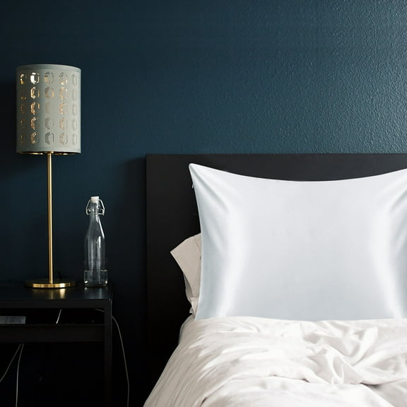 PiccoCasa 22 Momme Silk Pillowcase Zippered Pillow Cover, Queen Silver Gray