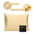 thumbnail image 1 of PiccoCasa 22 Momme Silk Pillowcase for Hair and Skin, King Champagne, 1 of 7
