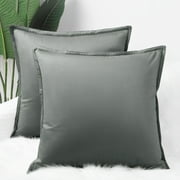 PiccoCasa 2Pcs 18"x18" Decorative Velvet Throw Pillow Covers Soft Square Cushion Covers for Sofa Couch Bedrooms Gray