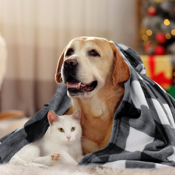 PiccoCasa Decorative Checkered Buffalo Plaid Flannel Fleece Throw Blanket Black and White Pet (30" *40")