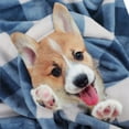 thumbnail image 1 of PiccoCasa Decorative Plaid Flannel Fleece Blanket, Blue and White Pet-30"*40", 1 of 7
