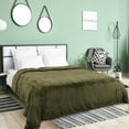 thumbnail image 1 of PiccoCasa Luxury Fleece Bed Blanket Woven Mesh Dark Green 78"x90", 1 of 9