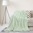 thumbnail image 1 of PiccoCasa Luxury Fleece Bed Blanket Woven Mesh Pale Green 50"x60", 1 of 6