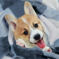 thumbnail image 1 of PiccoCasa Plaid Blanket Fuzzy Plush Blanket for Bed, Blue and White Pet-30"*40", 1 of 8