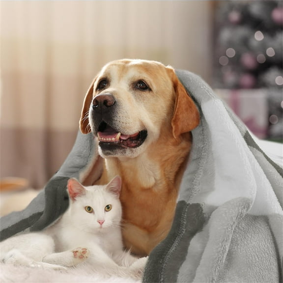 PiccoCasa Plaid Throw Blanket Decorative Flannel Fleece Blanket for Bed Couch, Gray and White Pet (30" *40")